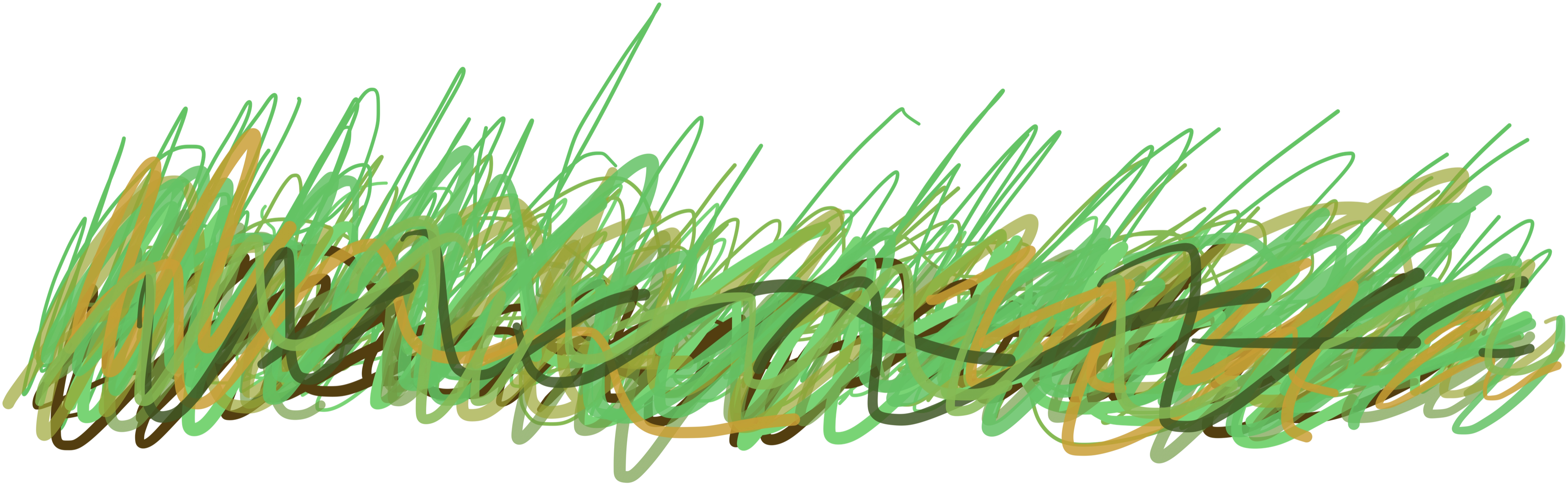 Grass